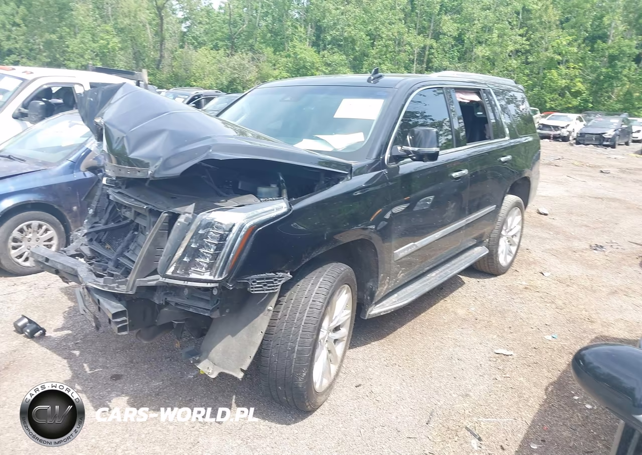 2019 Cadillac Escalade Luxury VIN:1GYS4BKJ3KR170277 - 2