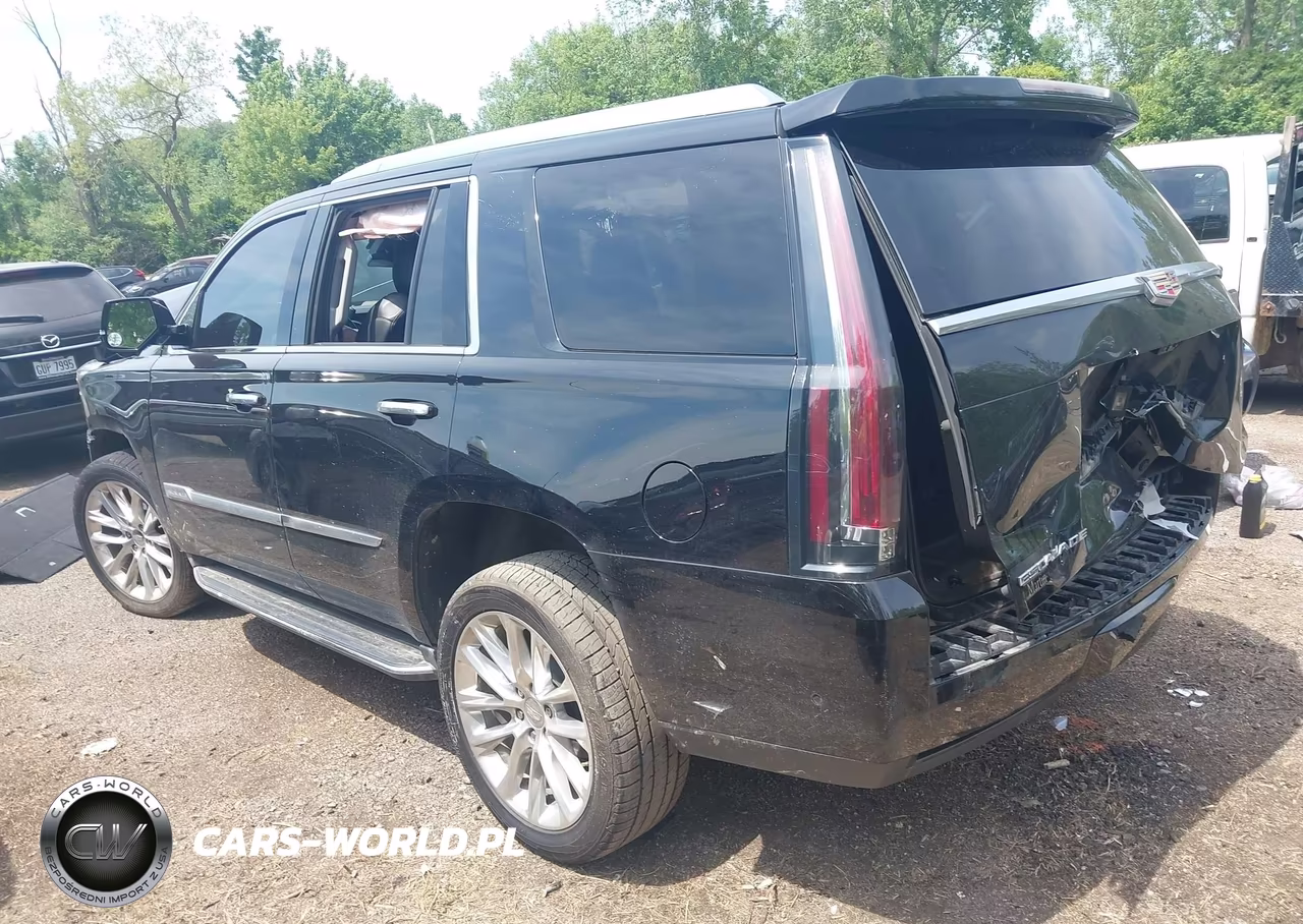 2019 Cadillac Escalade Luxury VIN:1GYS4BKJ3KR170277 - 3