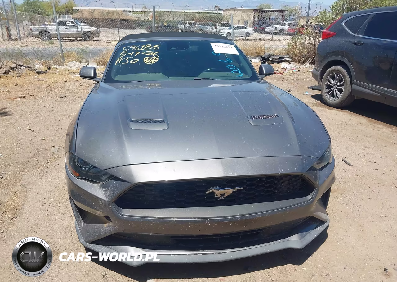 2021 Ford Mustang Ecoboost Premium VIN:1FATP8UH1M5120699 - 11