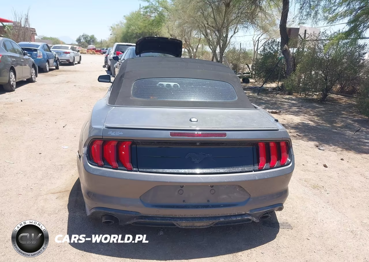 2021 Ford Mustang Ecoboost Premium VIN:1FATP8UH1M5120699 - 15