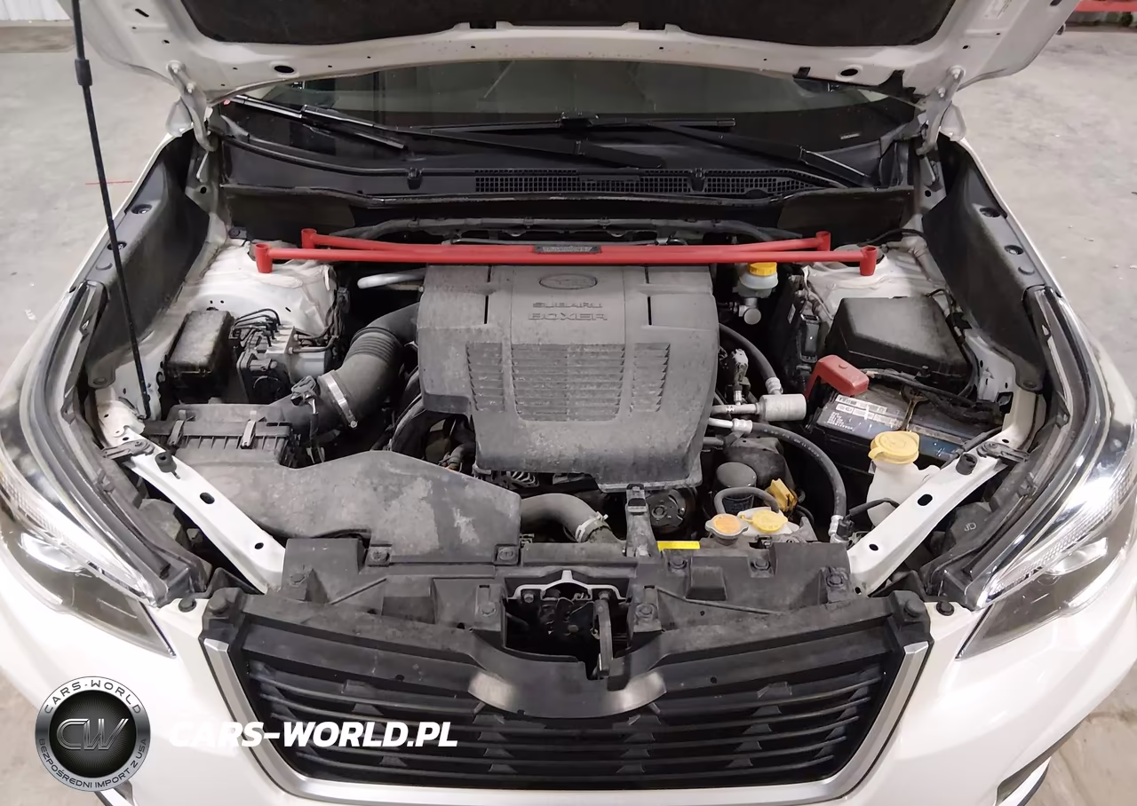 2019 Subaru Forester Premium VIN:JF2SKAEC0KH486651 - 10