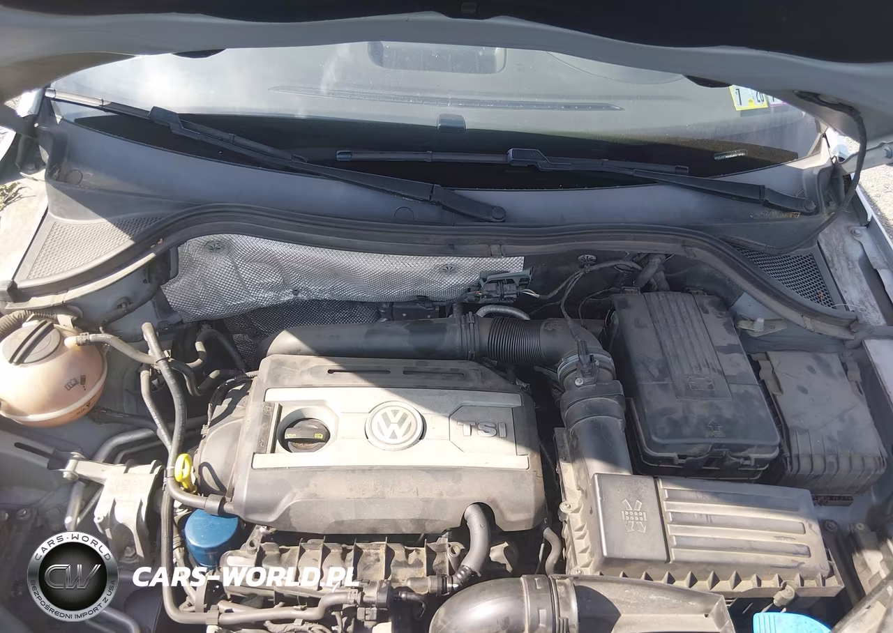 2016 Volkswagen Tiguan S VIN:WVGAV7AX9GW519481 - 10