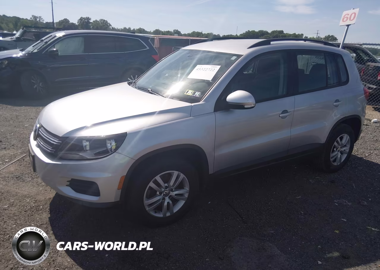 2016 Volkswagen Tiguan S VIN:WVGAV7AX9GW519481 - 2