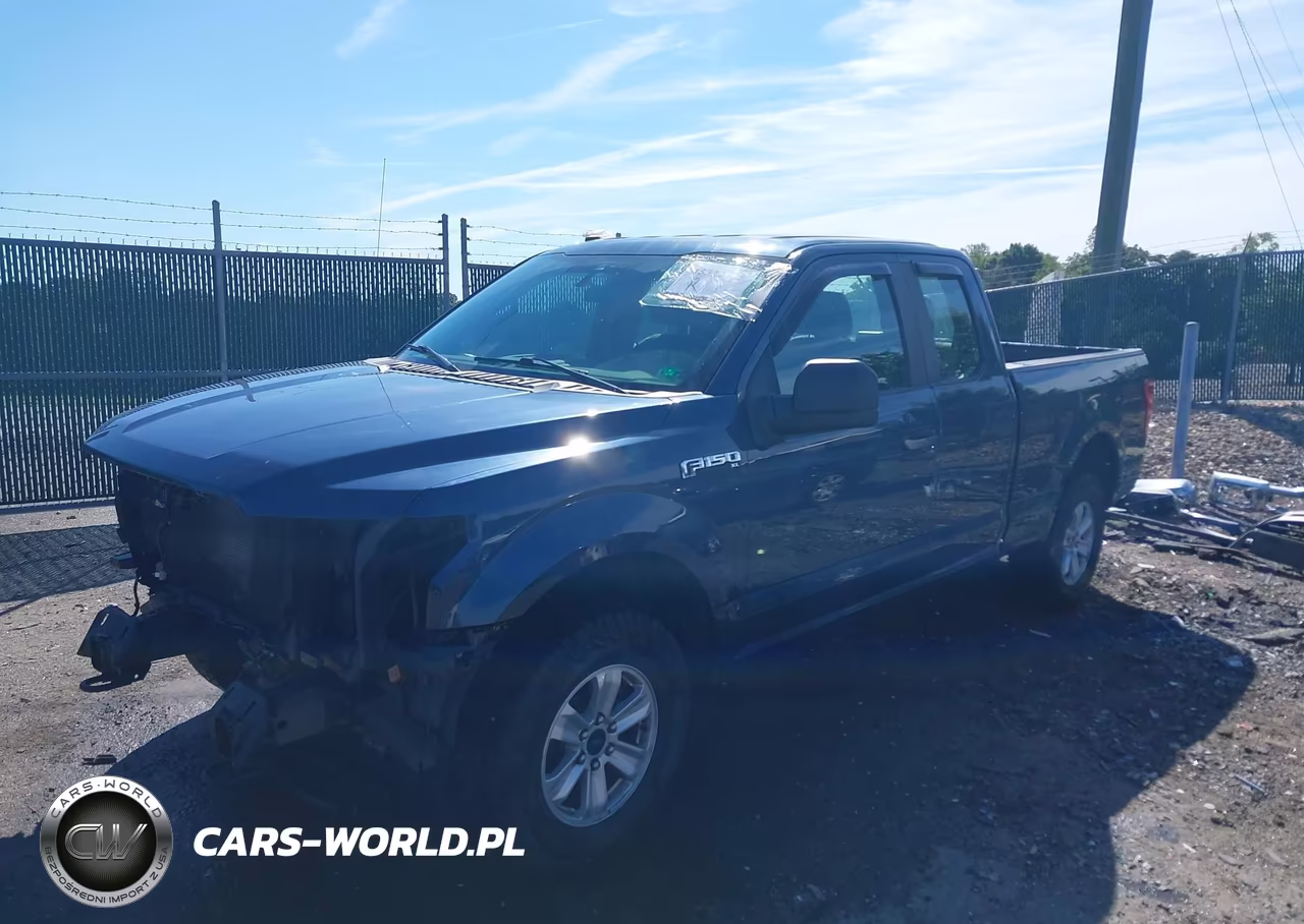 2019 Ford F-150 Xl VIN:1FTEX1EB1KFB33822 - 2