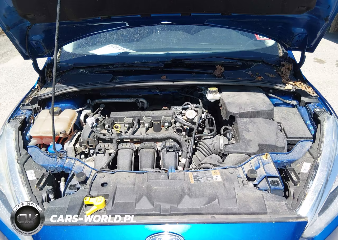 2018 Ford Focus Se VIN:1FADP3K25JL318327 - 10