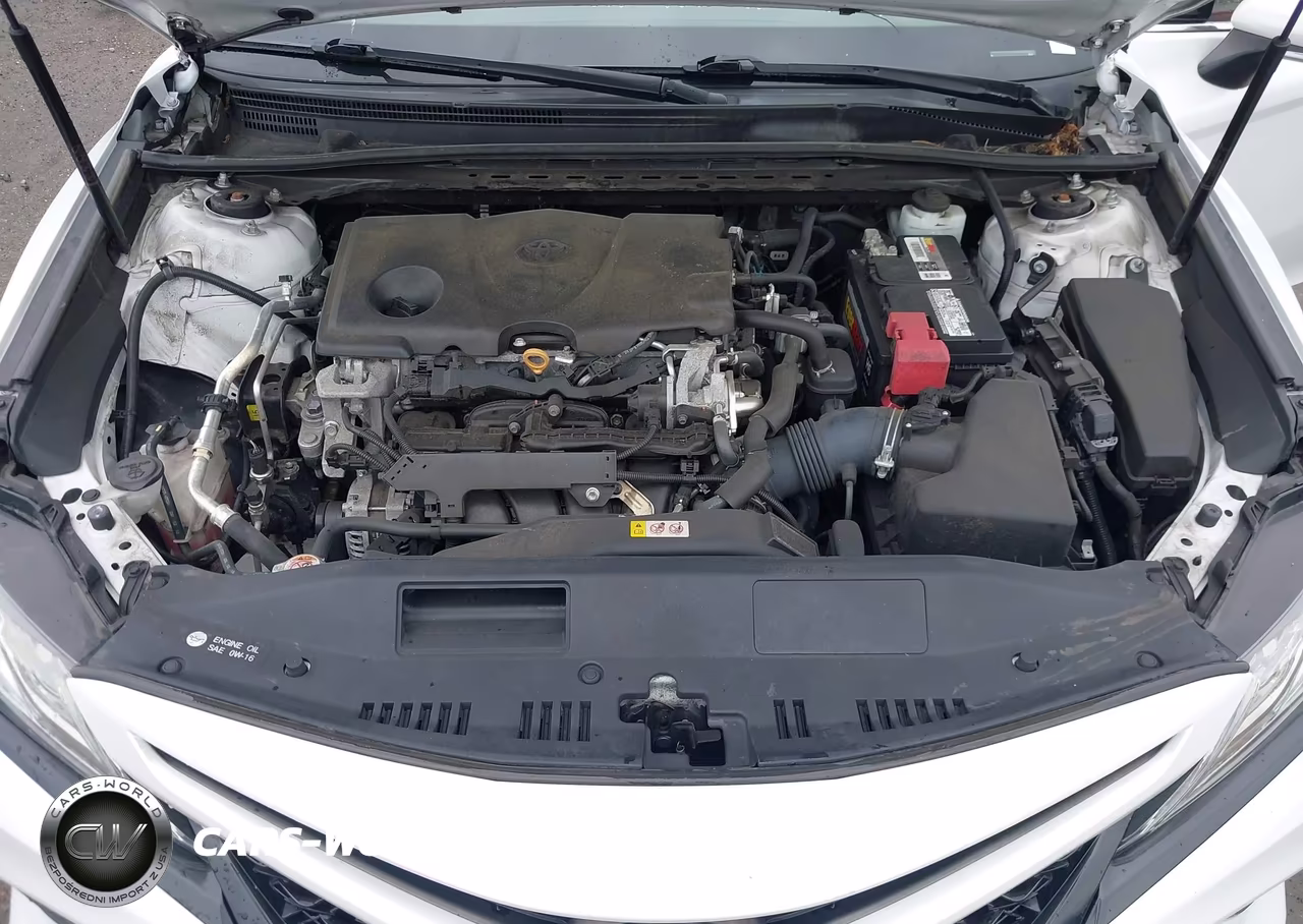 2019 Toyota Camry Xse VIN:4T1B61HK2KU826925 - 10