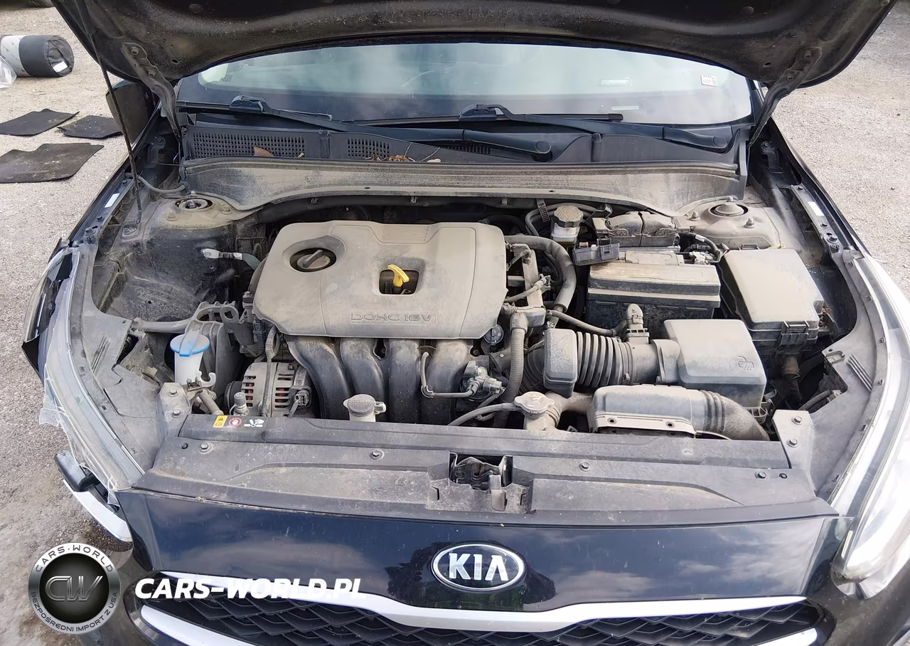 2019 Kia Forte Lxs VIN:3KPF24AD4KE136610 - 10