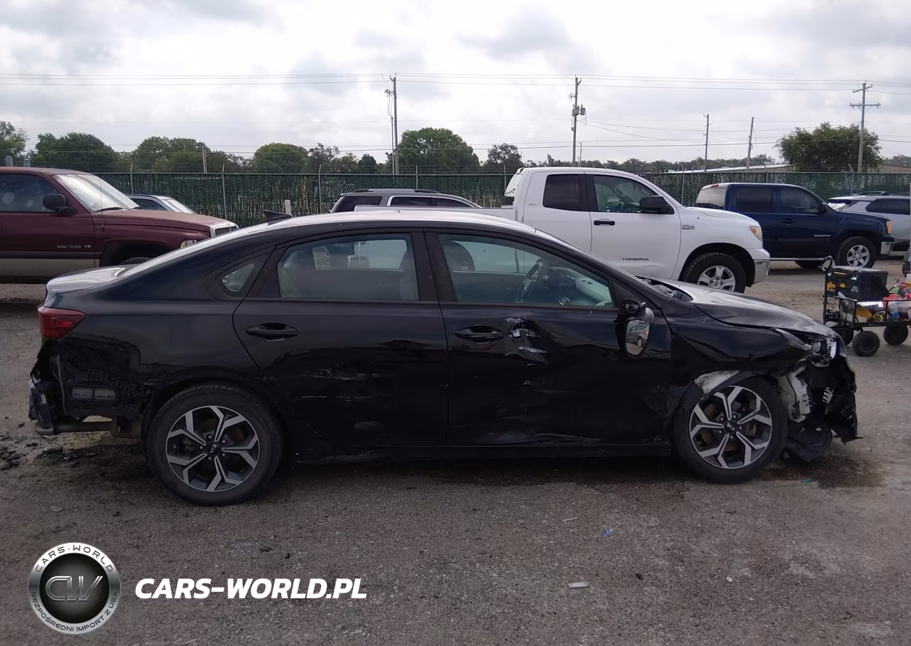 2019 Kia Forte Lxs VIN:3KPF24AD4KE136610 - 13