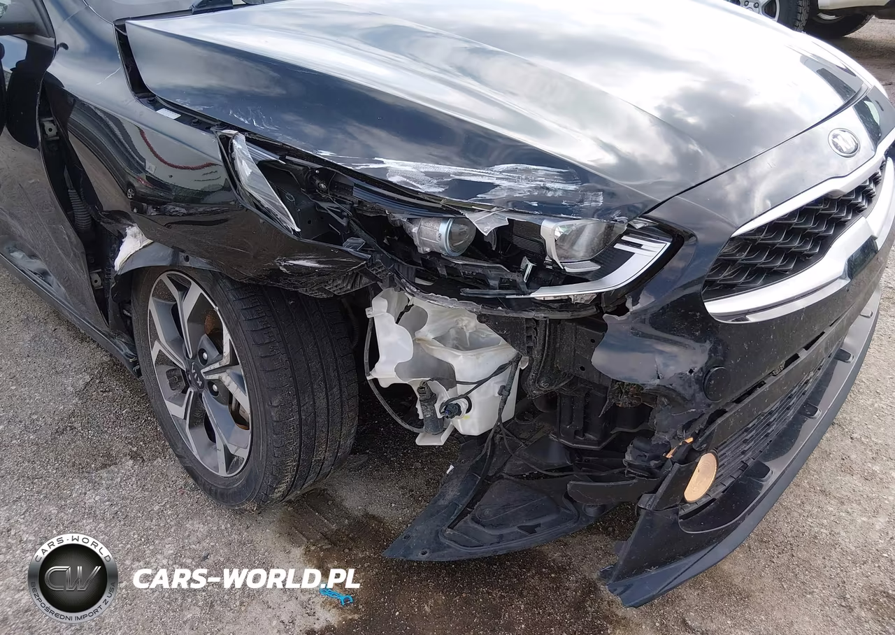 2019 Kia Forte Lxs VIN:3KPF24AD4KE136610 - 6