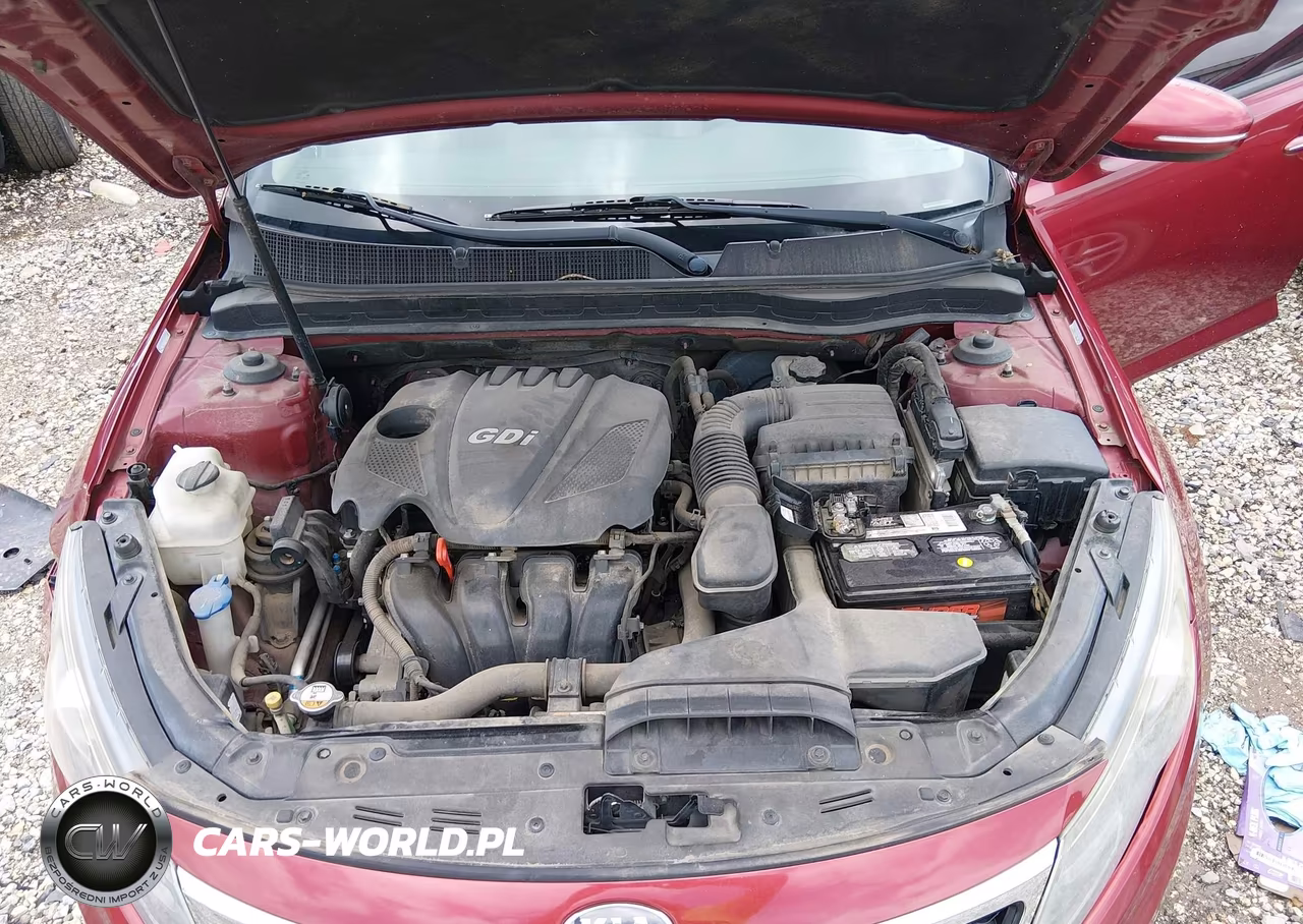2013 Kia Optima Ex VIN:5XXGN4A79DG118202 - 10
