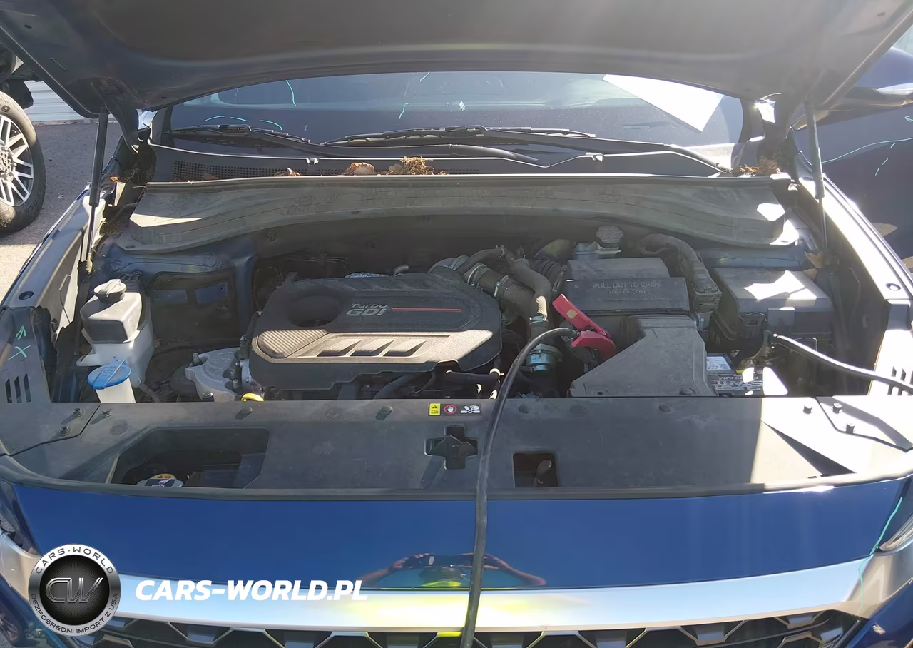 2020 Hyundai Santa Fe Sel 2.0T VIN:5NMS33AA4LH167507 - 10