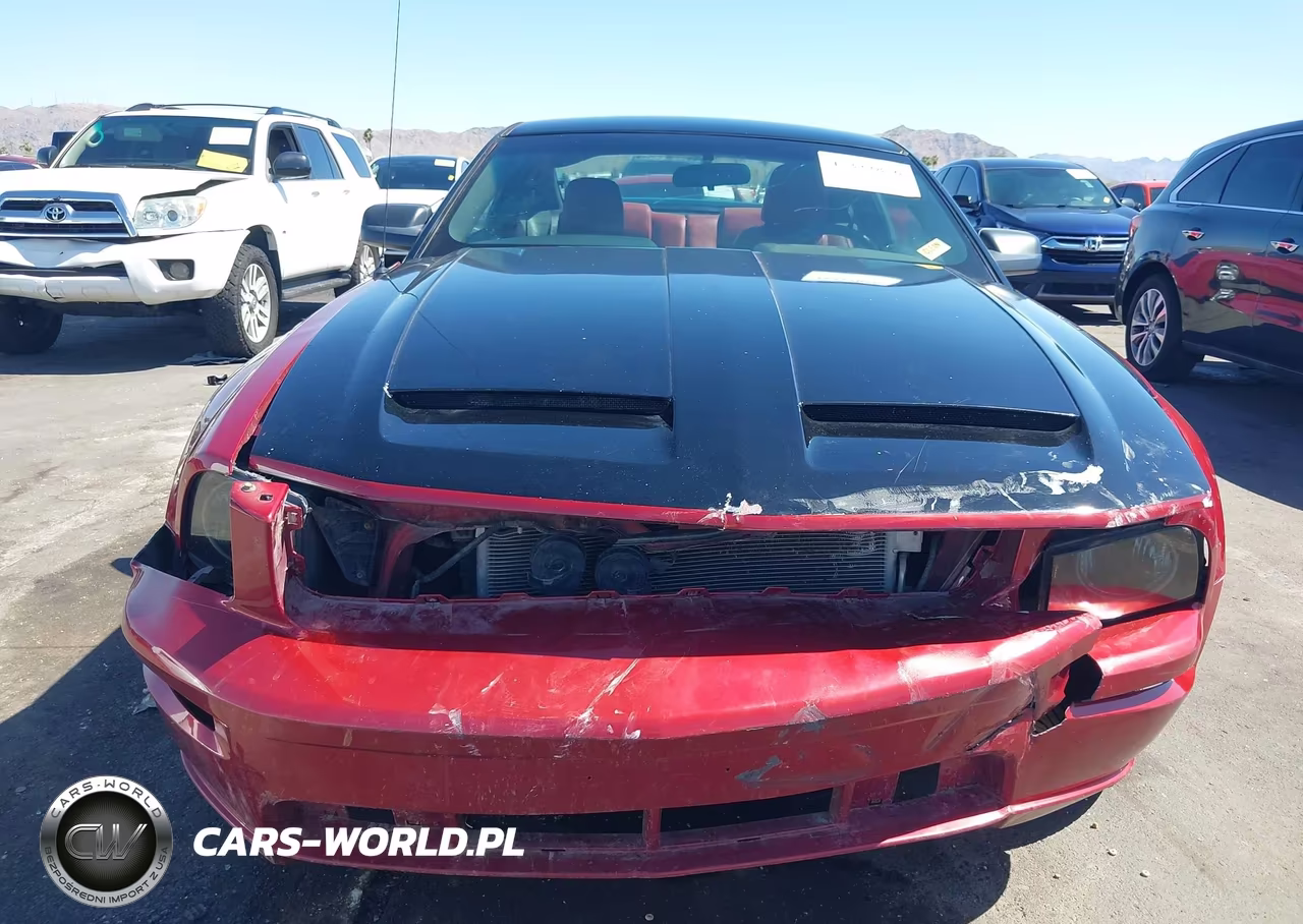 2006 Ford Mustang Gt VIN:1ZVFT82HX65203375 - 12