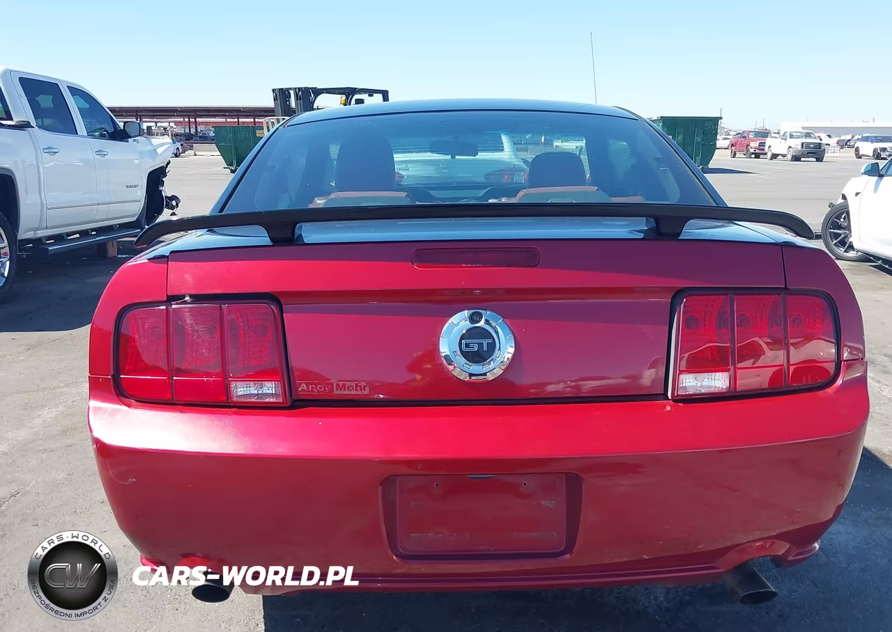 2006 Ford Mustang Gt VIN:1ZVFT82HX65203375 - 16