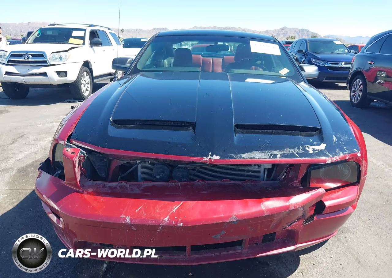 2006 Ford Mustang Gt VIN:1ZVFT82HX65203375 - 6
