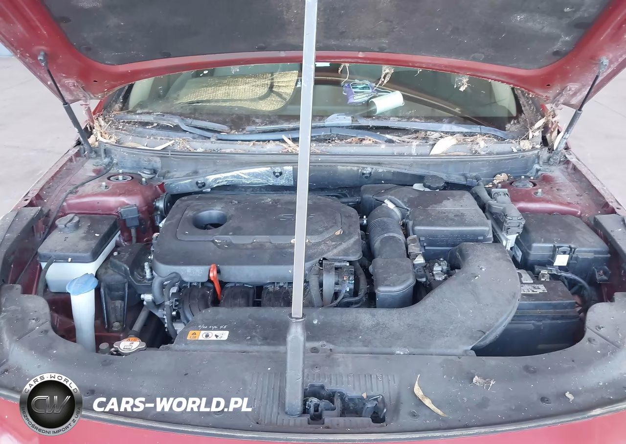 2016 Hyundai Sonata Se VIN:5NPE24AFXGH355135 - 10
