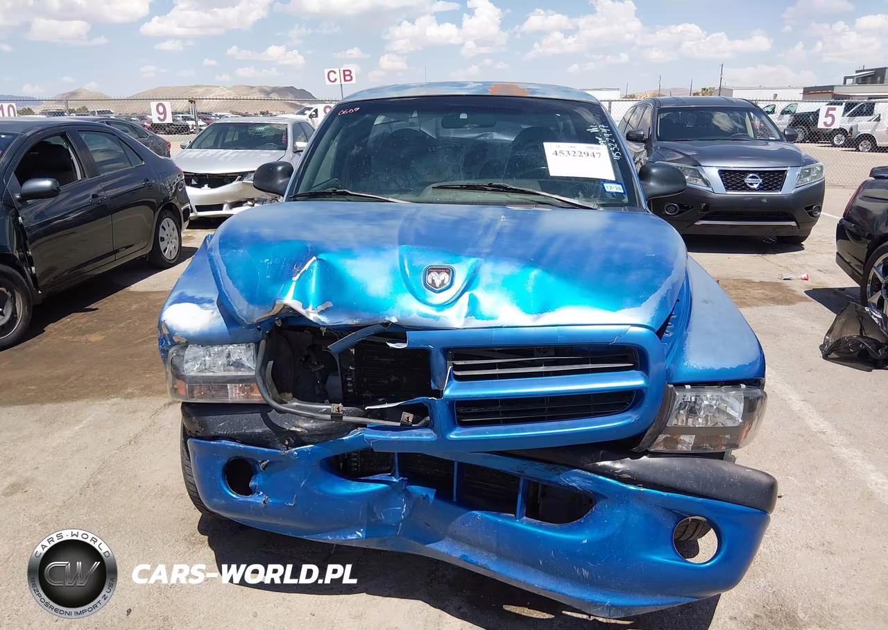1999 Dodge Dakota Sport VIN:1B7FL26PXXS251625 - 12