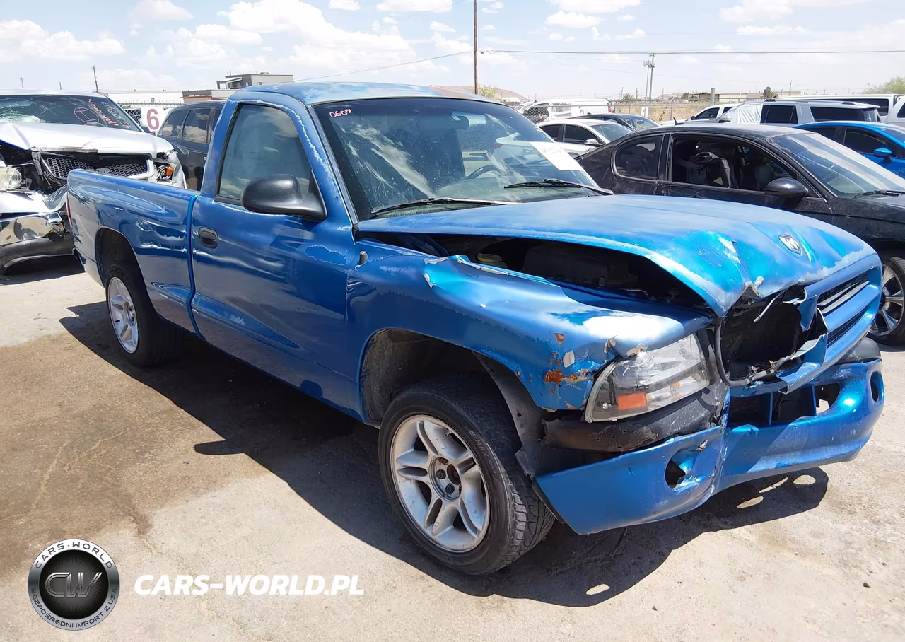 1999 Dodge Dakota Sport VIN:1B7FL26PXXS251625 - 13