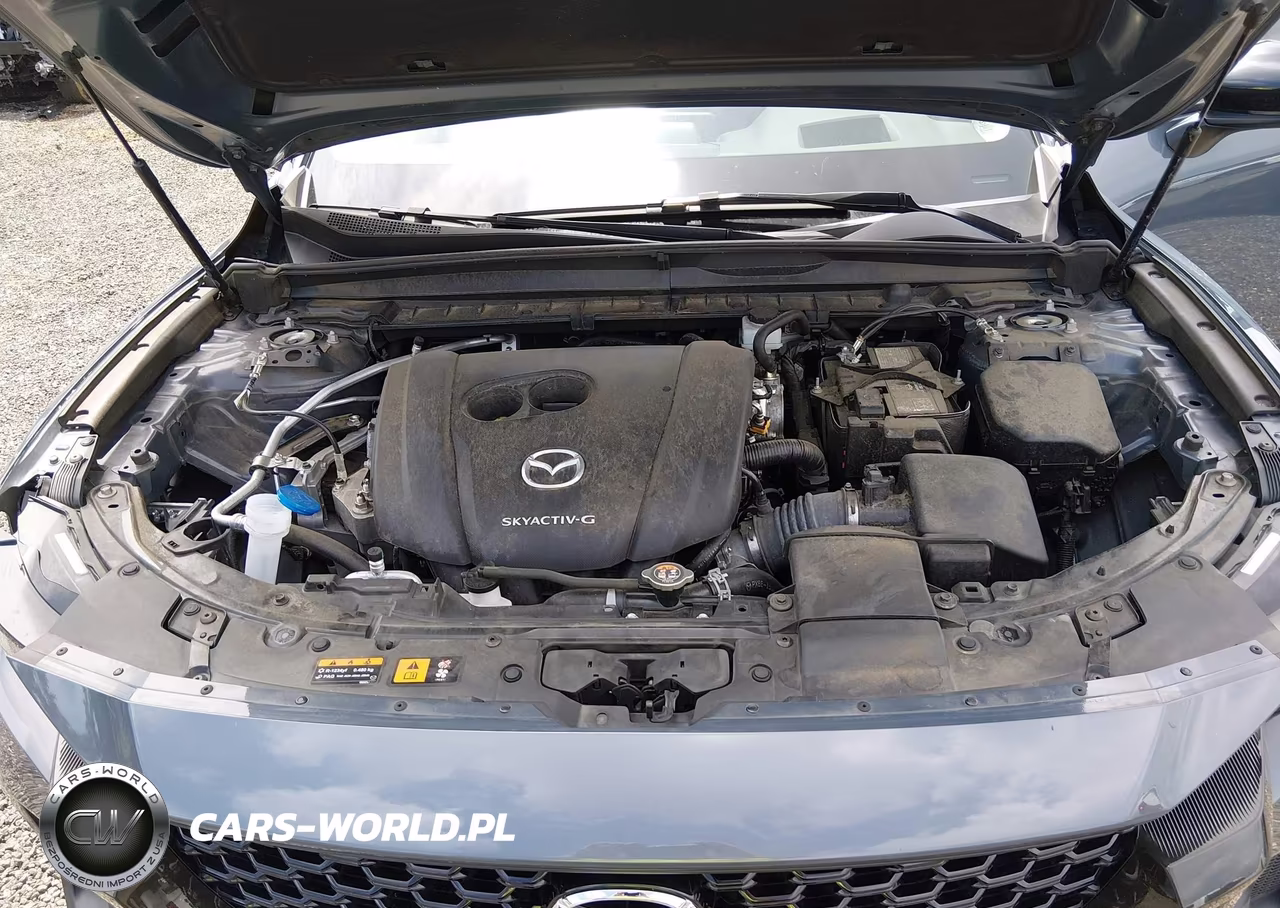 2024 Mazda Cx-50 2.5 S Premium Plus VIN:7MMVABEM2RN229208 - 10