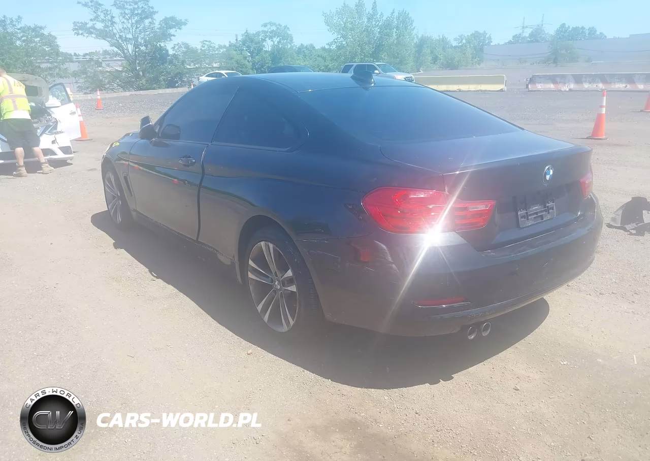 2014 BMW 428I xDrive VIN:WBA3N9C57EK245445 - 3