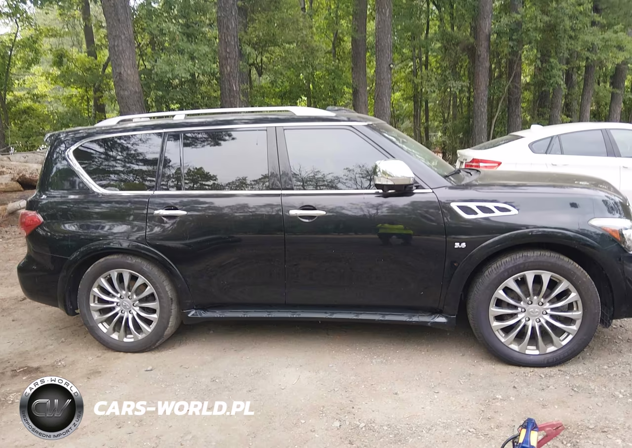 2016 Infiniti Qx80 Limited VIN:JN8AZ2NE5G9120803 - 13