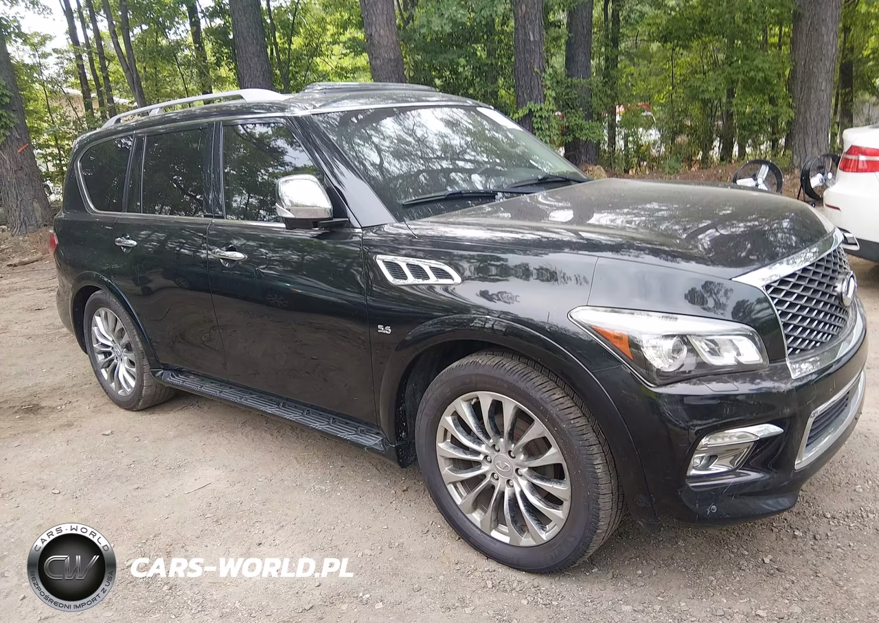 2016 Infiniti Qx80 Limited VIN:JN8AZ2NE5G9120803 - 6