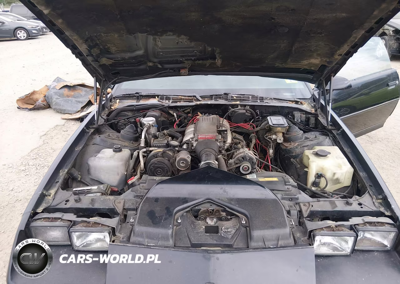 1989 Chevrolet Camaro VIN:1G1FP218XKL176912 - 10