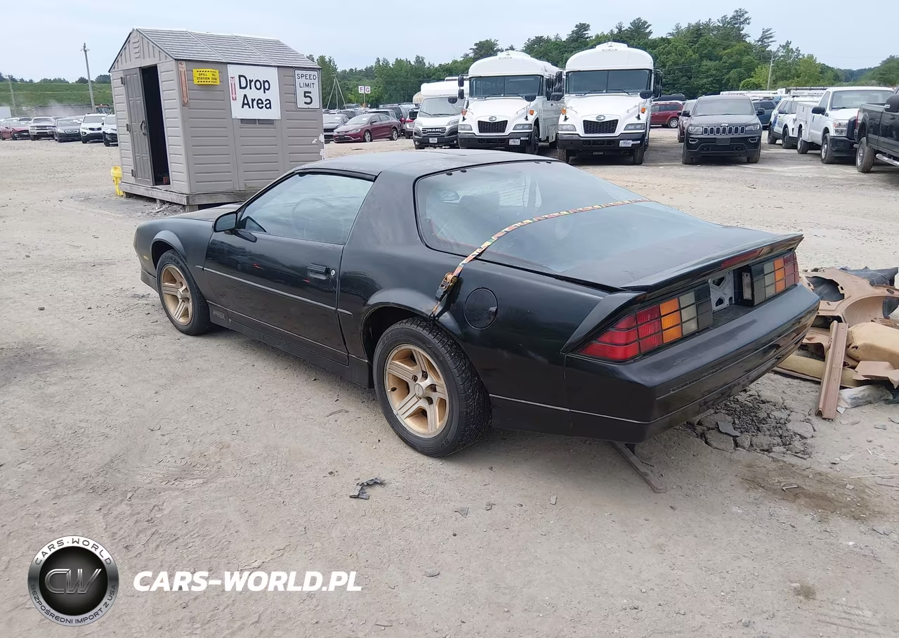 1989 Chevrolet Camaro VIN:1G1FP218XKL176912 - 3
