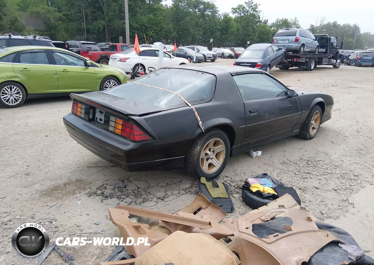 1989 Chevrolet Camaro VIN:1G1FP218XKL176912 - 4
