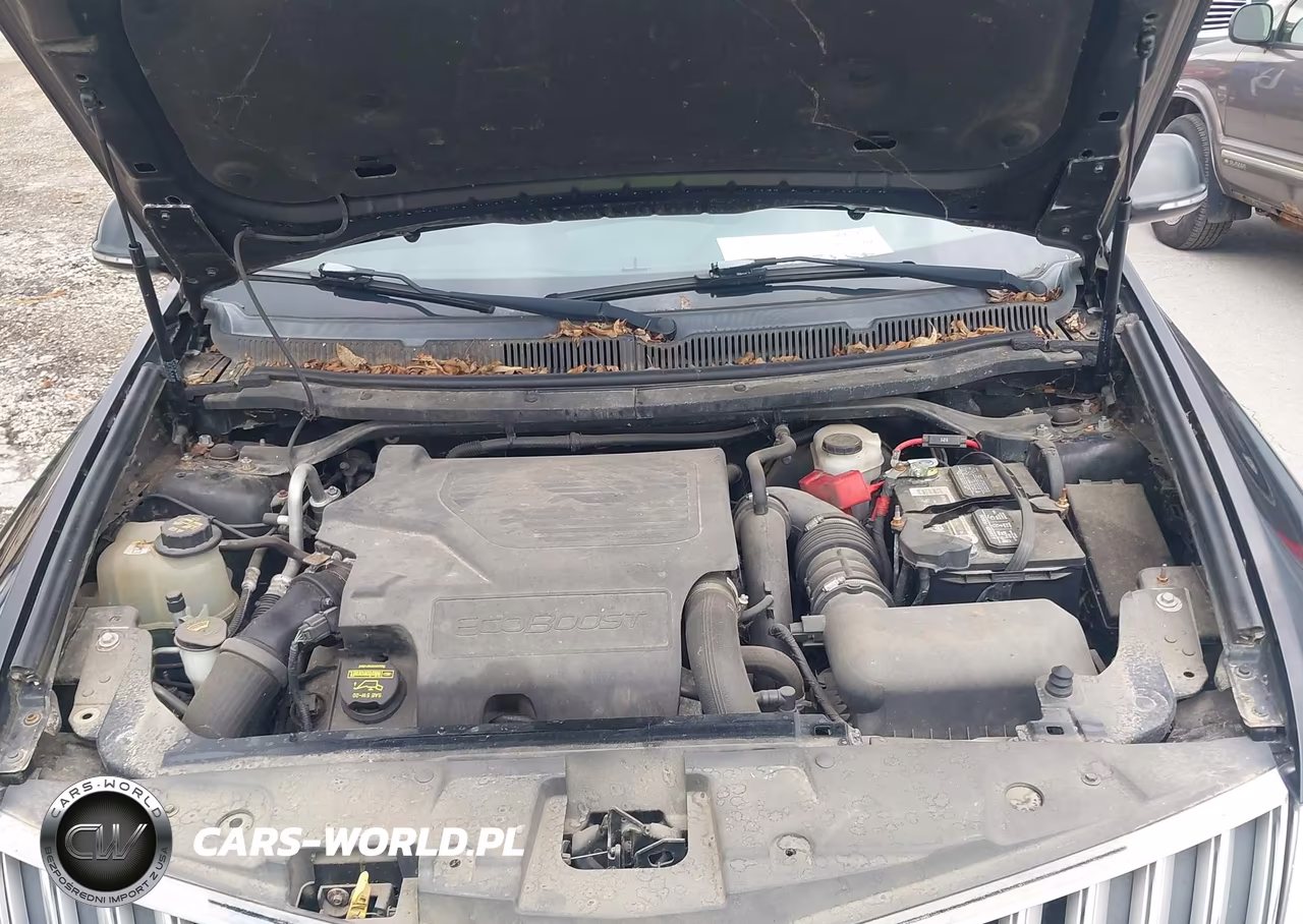 2010 Lincoln Mkt Ecoboost VIN:2LMHJ5AT7ABJ06645 - 10