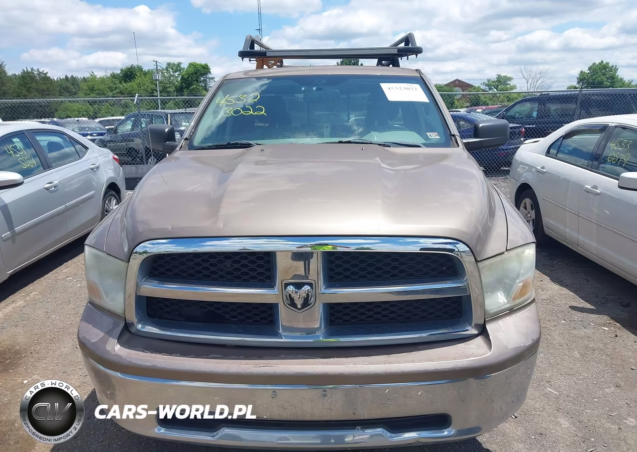 2010 Dodge Ram 1500 Slt-Sport-Trx VIN:1D7RV1GT1AS128614 - 12