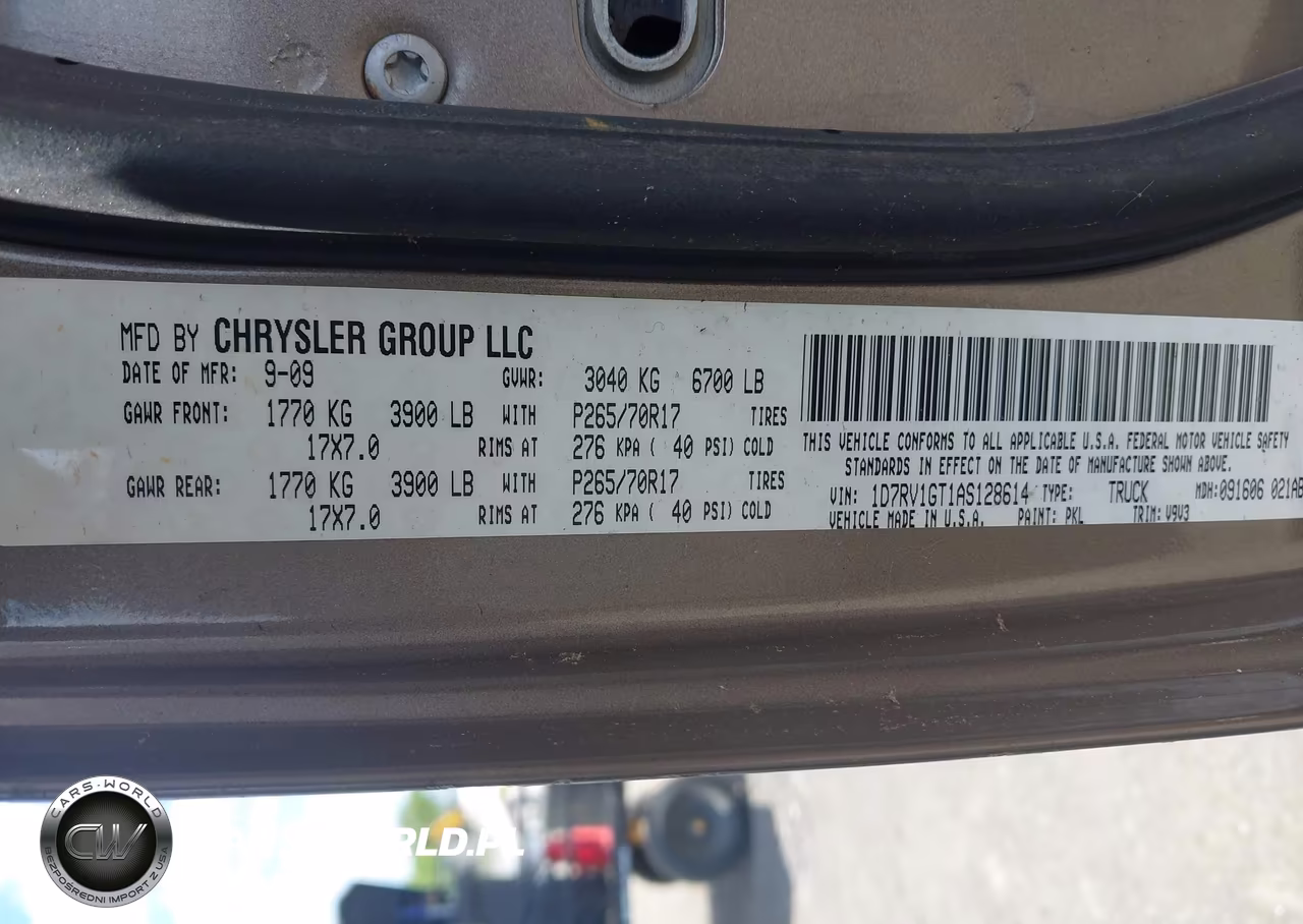 2010 Dodge Ram 1500 Slt-Sport-Trx VIN:1D7RV1GT1AS128614 - 9