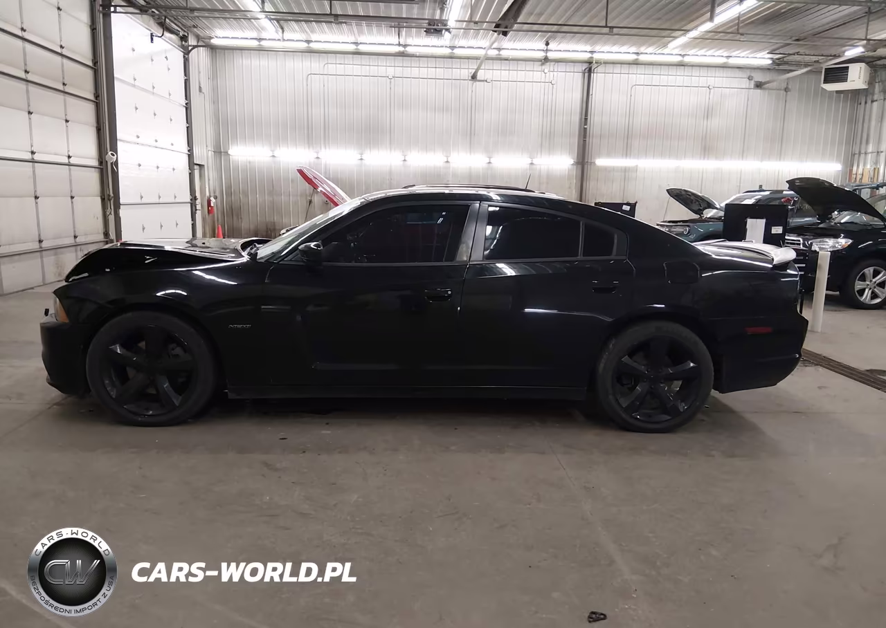 2014 Dodge Charger R-T VIN:2C3CDXCT3EH285123 - 15