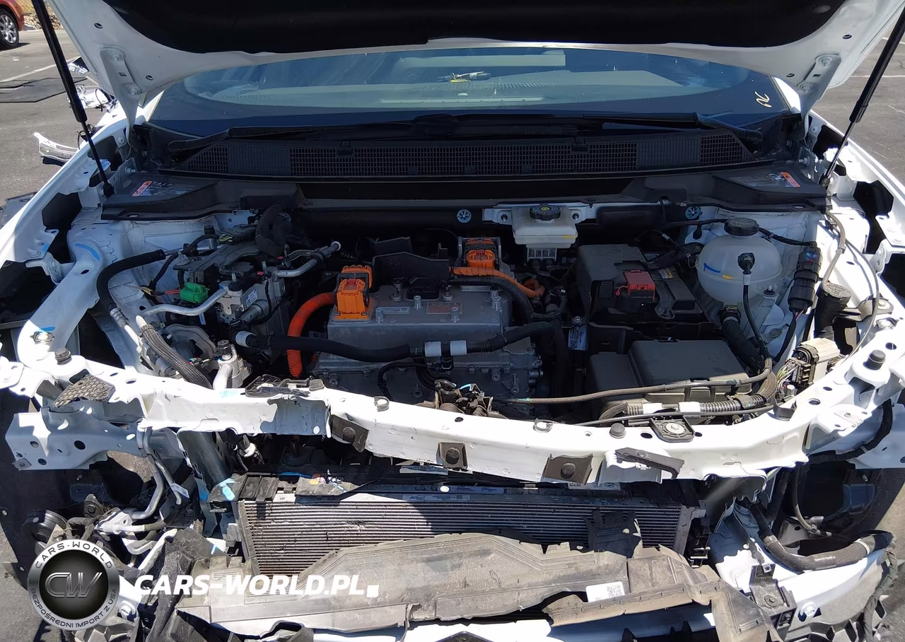 2024 Chevrolet Equinox Ev Lt VIN:3GN7DLRR9RS297871 - 10