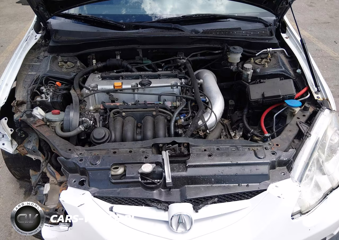 2004 Acura Rsx VIN:JH4DC53854S012502 - 10