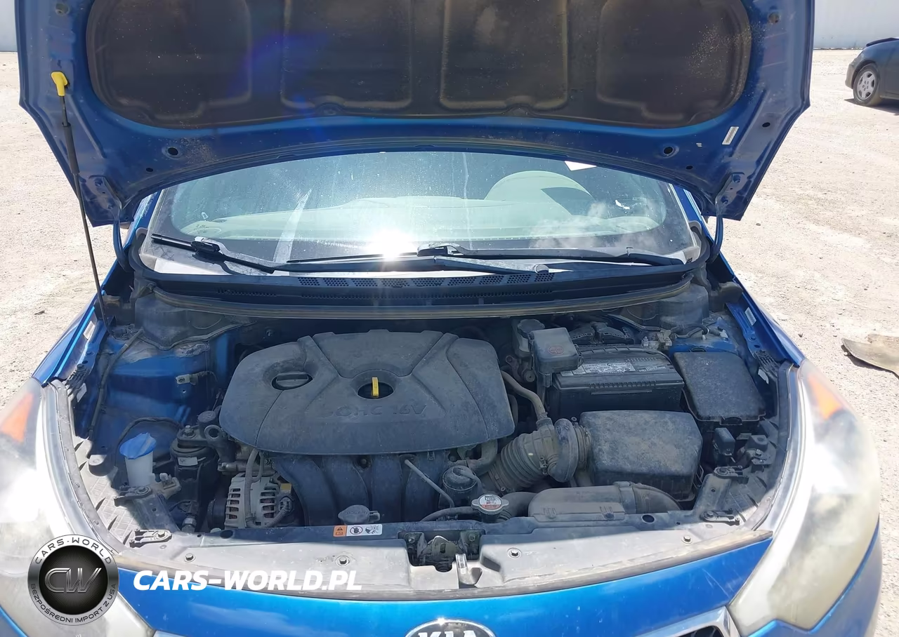2014 Kia Forte Lx VIN:KNAFX4A60E5219855 - 10