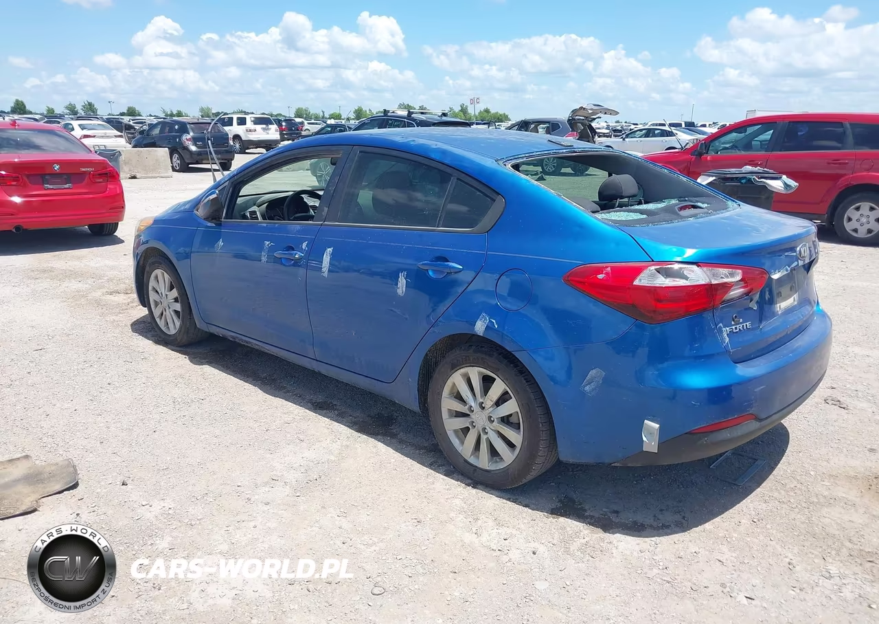 2014 Kia Forte Lx VIN:KNAFX4A60E5219855 - 3
