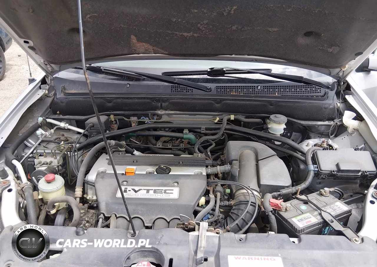 2004 Honda Cr-V Ex VIN:JHLRD788X4C056999 - 10