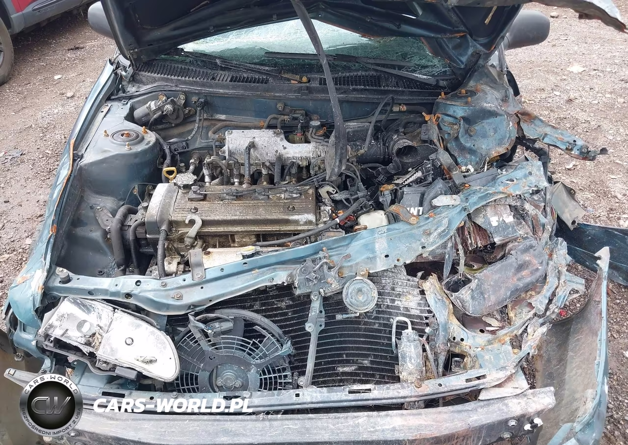 1995 Toyota Corolla Le-Dx VIN:2T1AE09B2SC102192 - 10