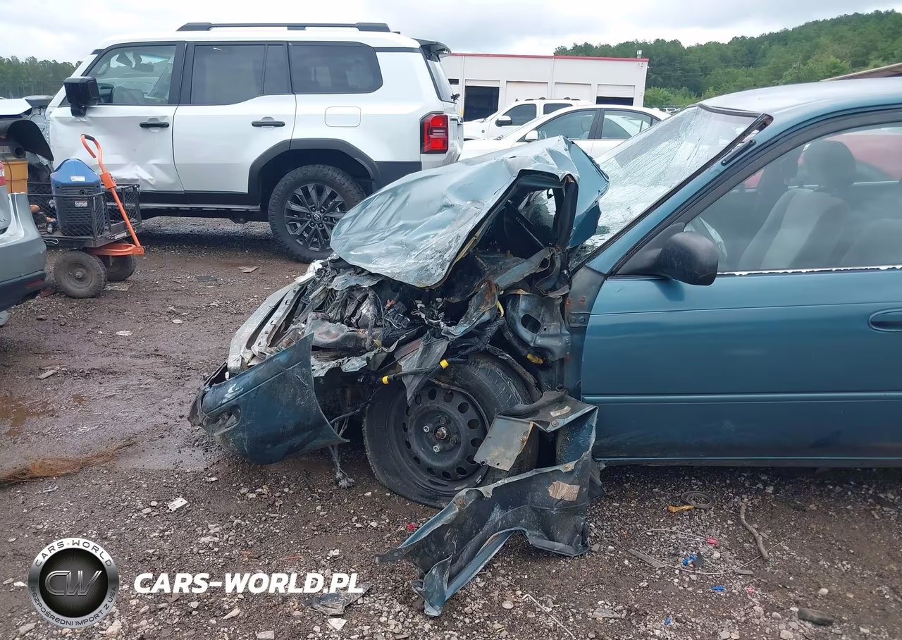 1995 Toyota Corolla Le-Dx VIN:2T1AE09B2SC102192 - 6