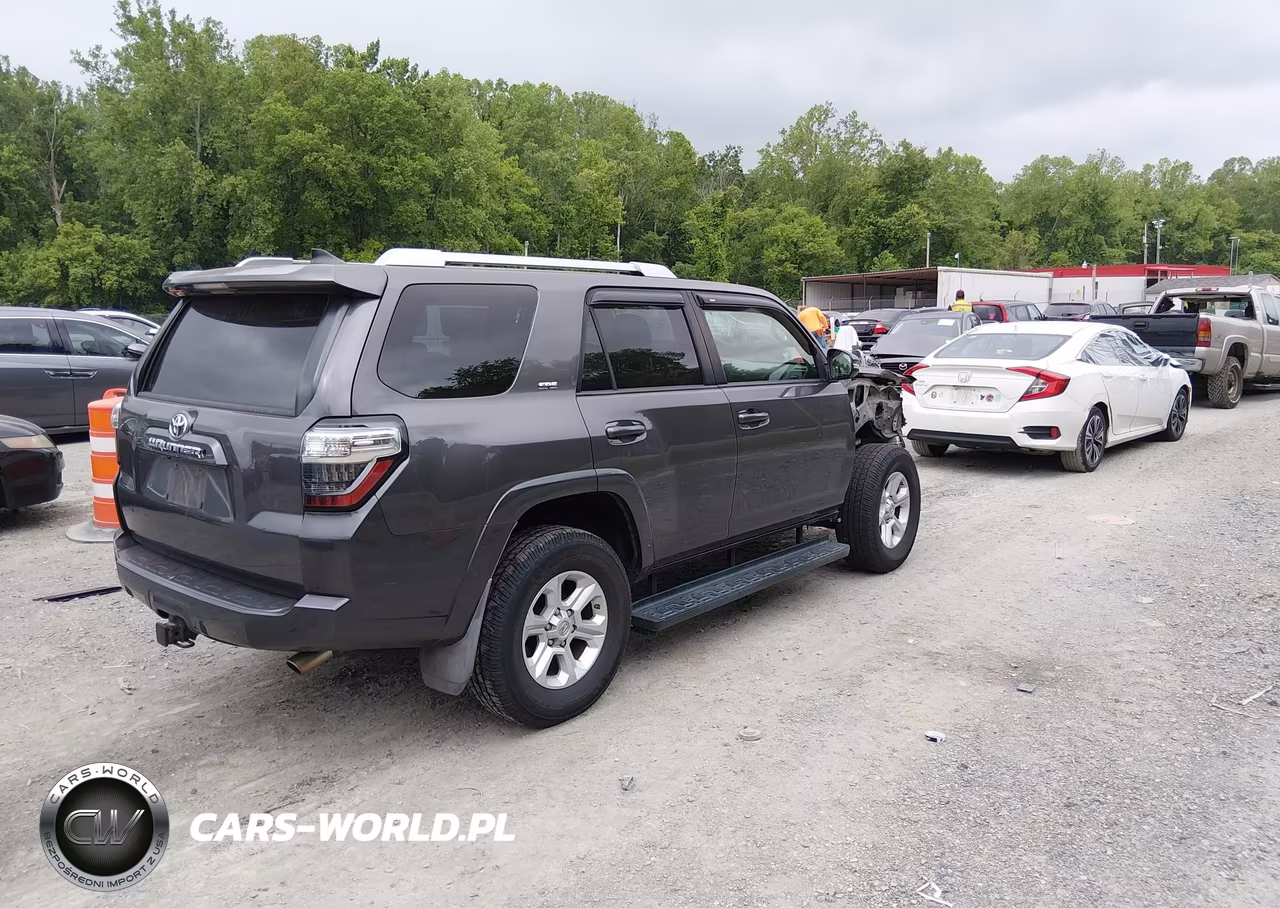 2016 Toyota 4Runner Limited-Sr5-Sr5 Premium-Trail-Trail Premium-Trd Pro VIN:JTEBU5JR5G5307101 - 4