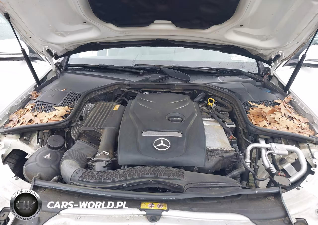 2017 Mercedes-Benz C 300 VIN:55SWF4JB0HU212134 - 10