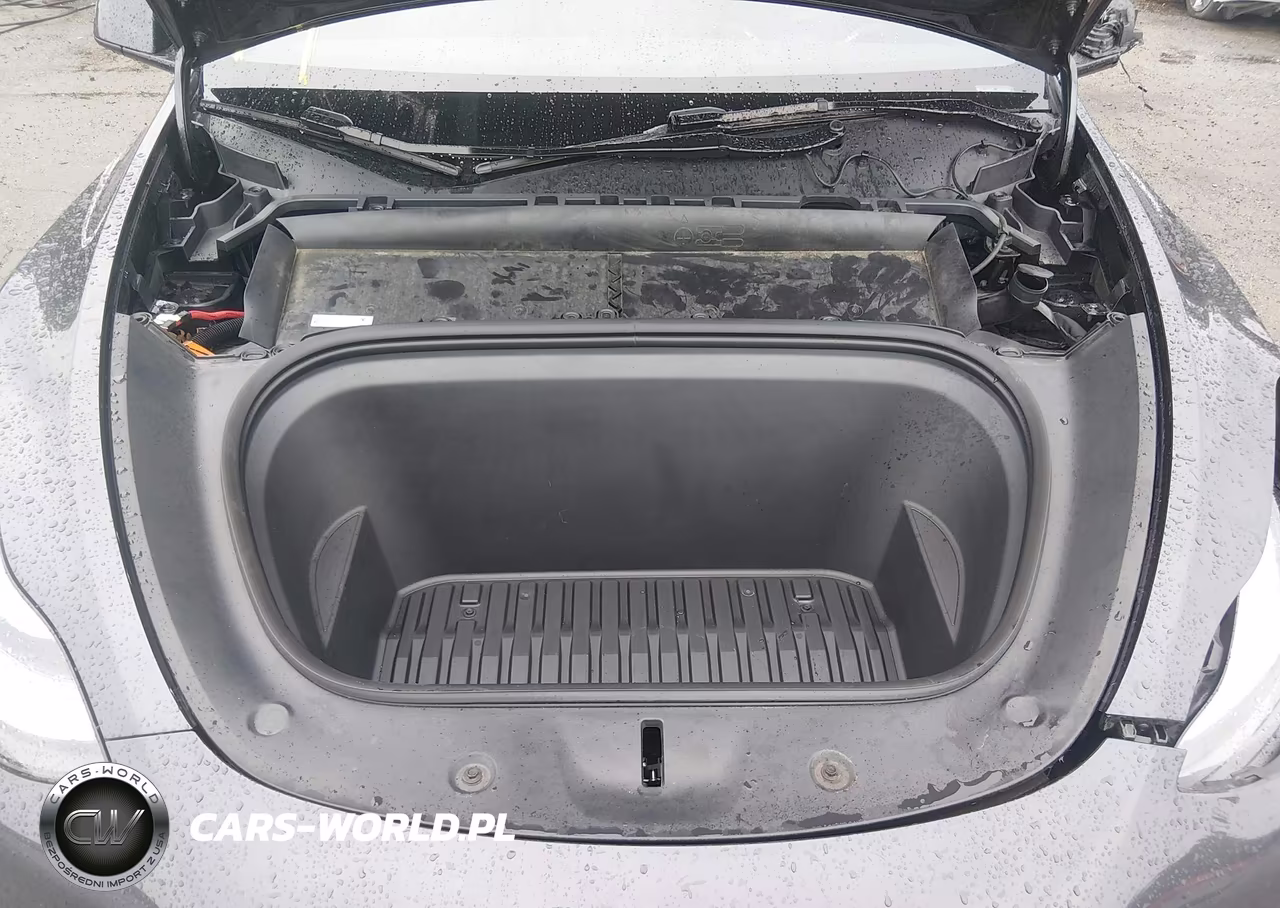 2024 Tesla Model Y Long Range Dual Motor All-Wheel Drive VIN:7SAYGDEEXRA220657 - 10