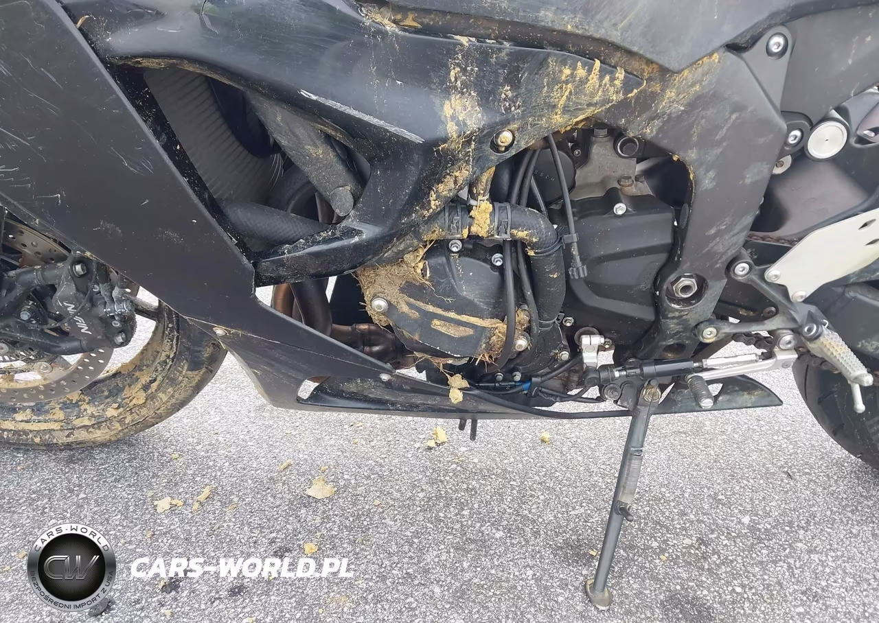 2024 Kawasaki Zx636 K VIN:JKBZXJK17RA001058 - 9