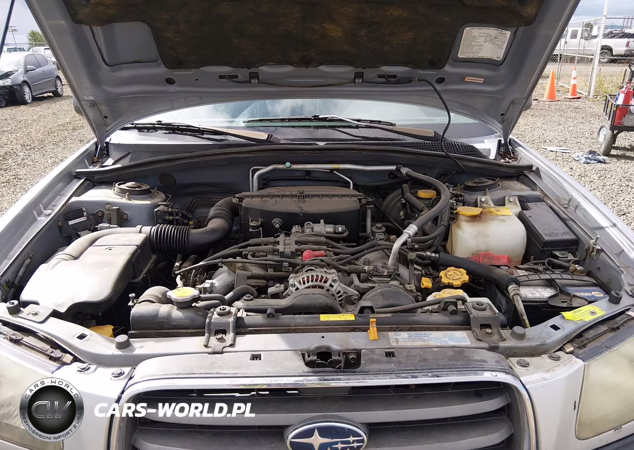 2004 Subaru Forester 2.5Xs VIN:JF1SG65694H758520 - 10