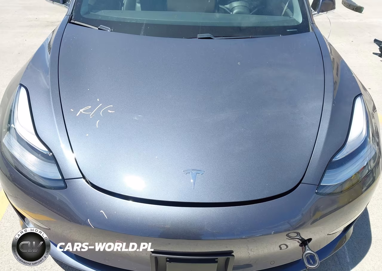 2020 Tesla Model 3 Standard Range Plus Rear-Wheel Drive-Standard Range Rear-Wheel Drive VIN:5YJ3E1EA4LF739366 - 10