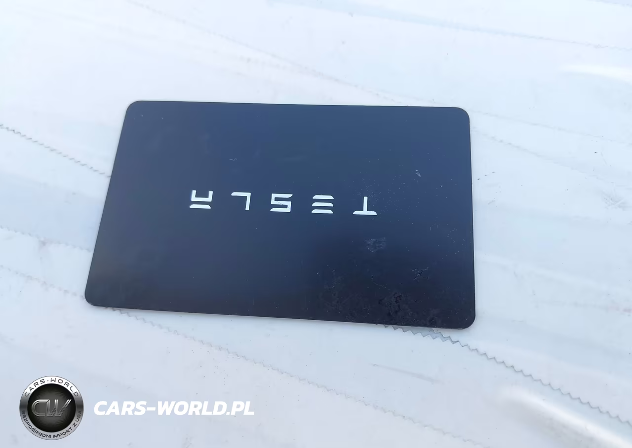 2020 Tesla Model 3 Standard Range Plus Rear-Wheel Drive-Standard Range Rear-Wheel Drive VIN:5YJ3E1EA4LF739366 - 11