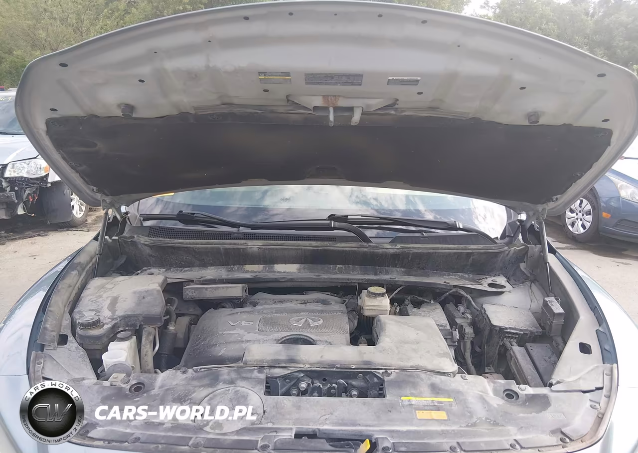 2019 Infiniti Qx60 Luxe VIN:5N1DL0MM4KC531530 - 10