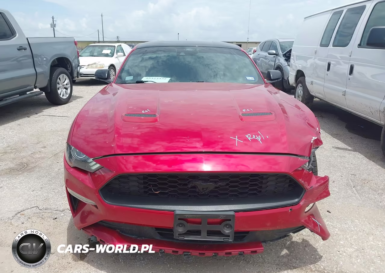 2022 Ford Mustang Ecoboost Premium Fastback VIN:1FA6P8TH2N5136846 - 12