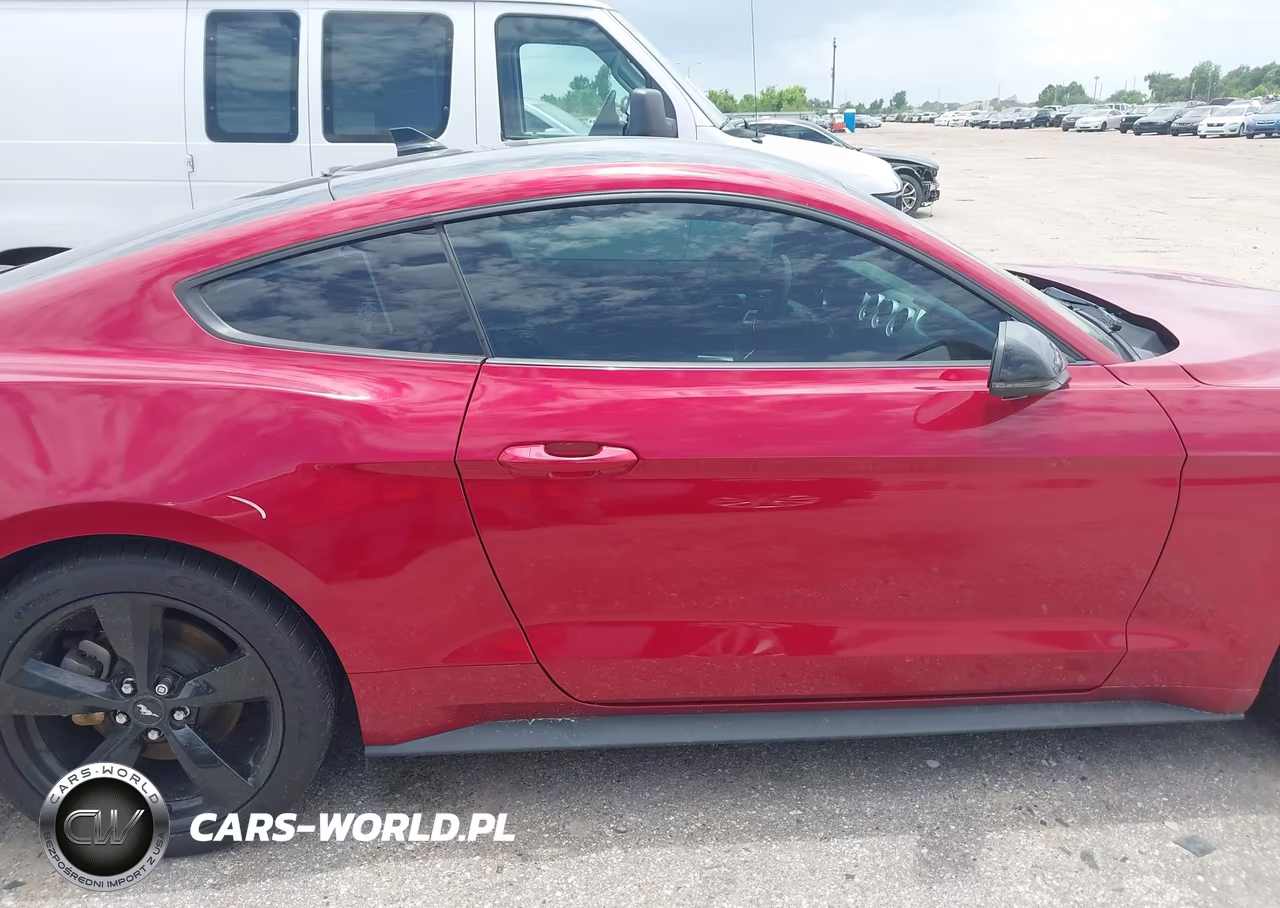 2022 Ford Mustang Ecoboost Premium Fastback VIN:1FA6P8TH2N5136846 - 13