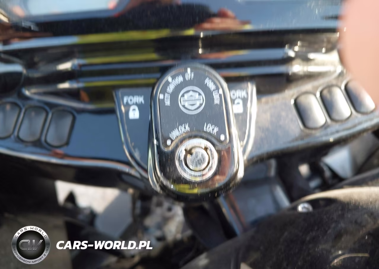 2021 Harley-Davidson Fltrk VIN:1HD1KZF1XMB616462 - 11